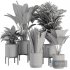 Indoor Plant SetV21 – Snseveria Palm - Thumbnail 6