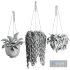 Hanging Indoor Plant – SetV3 - Thumbnail 6