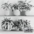 Plants on Shelf SetV1 - Thumbnail 6