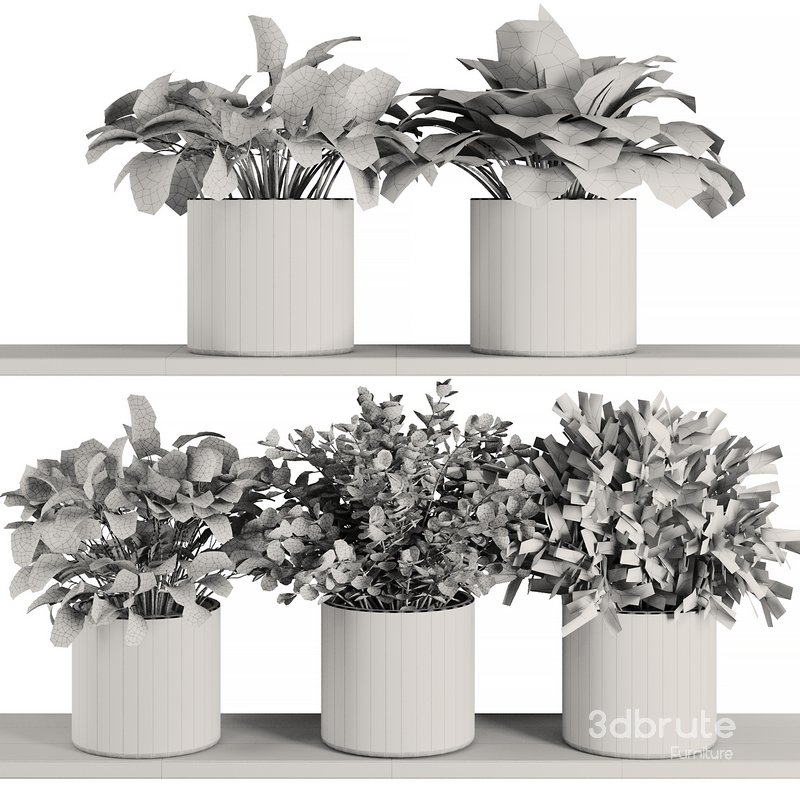 Plants on Shelf SetV5 Image 7