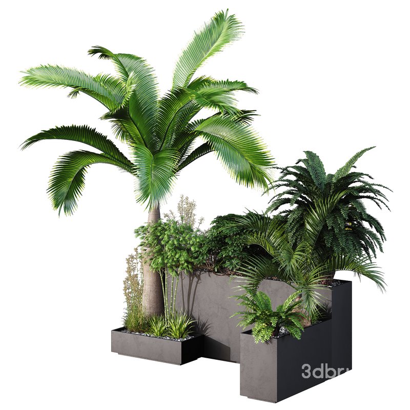 HQ Tree and bush garden box outdoor VOL 09 Image 1