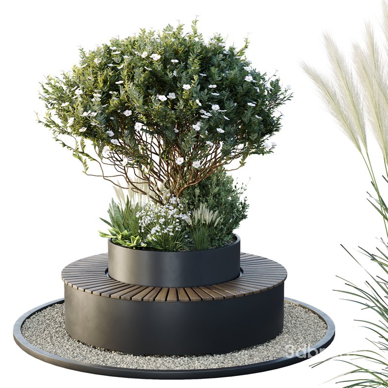HQ Tree and bush garden box outdoor VOL 21 Image 1