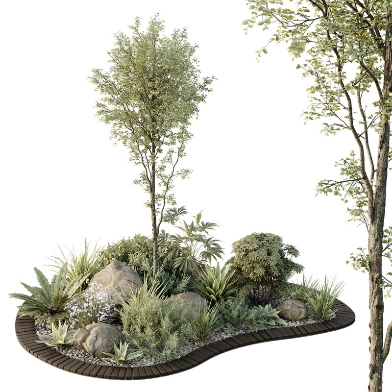 HQ Tree and bush garden box outdoor VOL 08 Image 1
