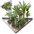 HQ HOTEL Outdoor Plants Set - Thumbnail 1