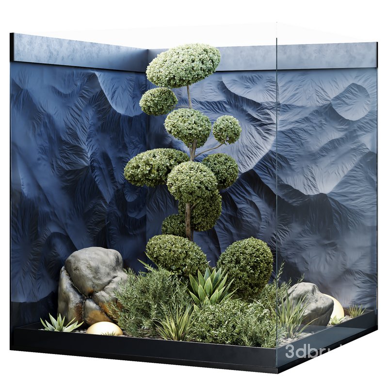 HQ Plants Indoor Set Box Glass Image 1