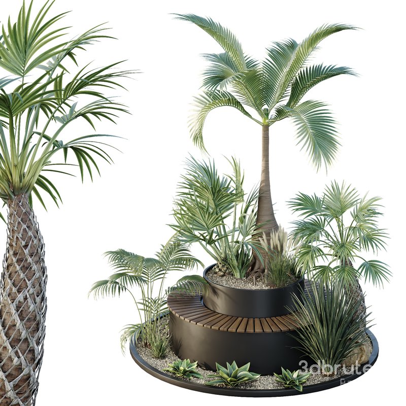 HQ Tree and bush garden box outdoor VOL 19 Image 1