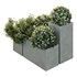 HQ Tree and bush garden box outdoor VOL 10 - Thumbnail 1