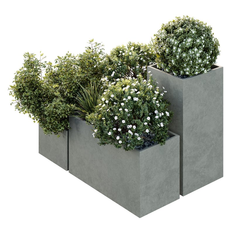 HQ Tree and bush garden box outdoor VOL 10 Image 1