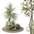 HQ Tree and bush garden box outdoor VOL 15 - Thumbnail 1