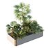 HQ Tree and bush garden box outdoor VOL 12 - Thumbnail 1