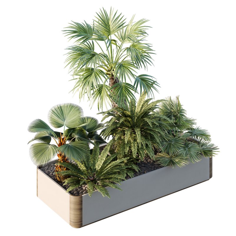 HQ Tree and bush garden box outdoor VOL 12 Image 1