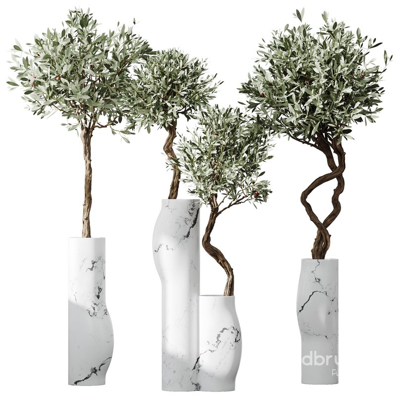 HQ Plants Mission Olive Tree Indoor Vase Set003 Image 1