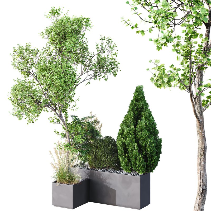 HQ Tree and bush garden box outdoor VOL 05 Image 1