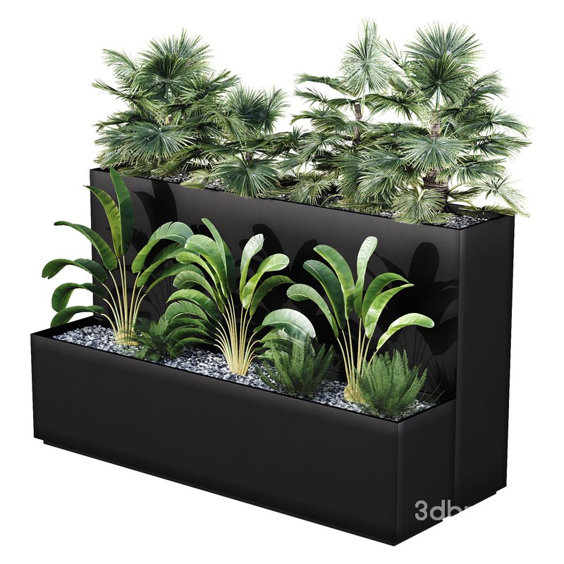 HQ Tree and bush garden box outdoor VOL 11 Image 1