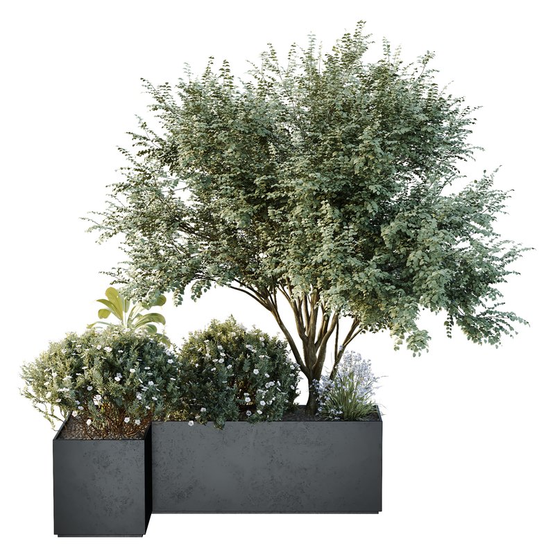HQ Tree and bush garden box outdoor VOL 13 Image 1