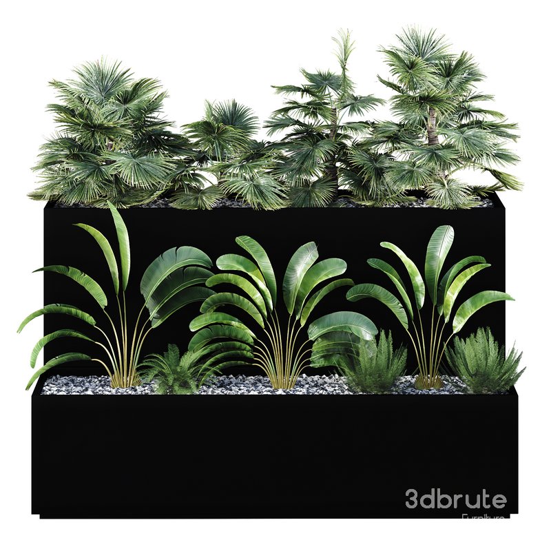 HQ Tree and bush garden box outdoor VOL 11 Image 2