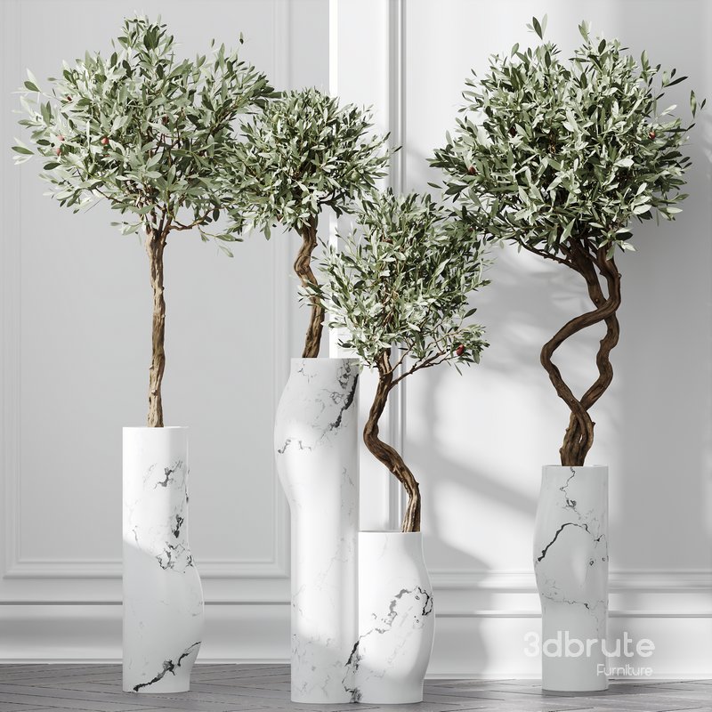 HQ Plants Mission Olive Tree Indoor Vase Set003 Image 2