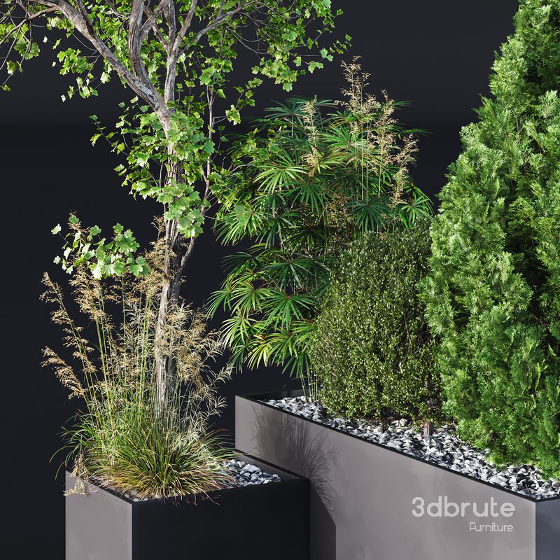 HQ Tree and bush garden box outdoor VOL 05 Image 3
