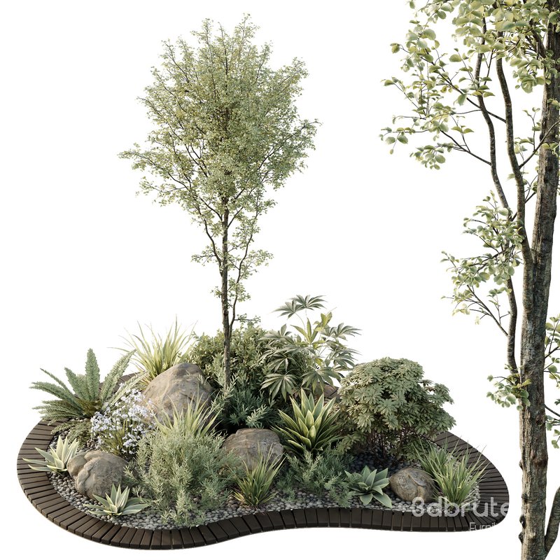 HQ Tree and bush garden box outdoor VOL 08 Image 3
