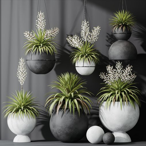 HQ Plants Yucca Elephantipes Rupicola Vase Set01
