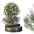 HQ Tree and bush garden box outdoor VOL 20 - Thumbnail 2