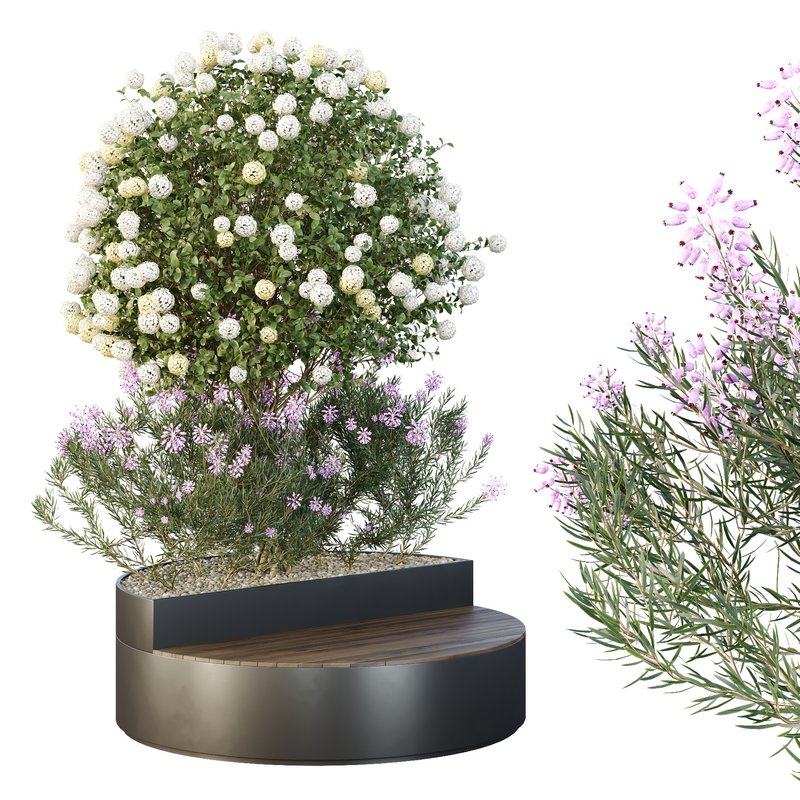 HQ Tree and bush garden box outdoor VOL 20 Image 2