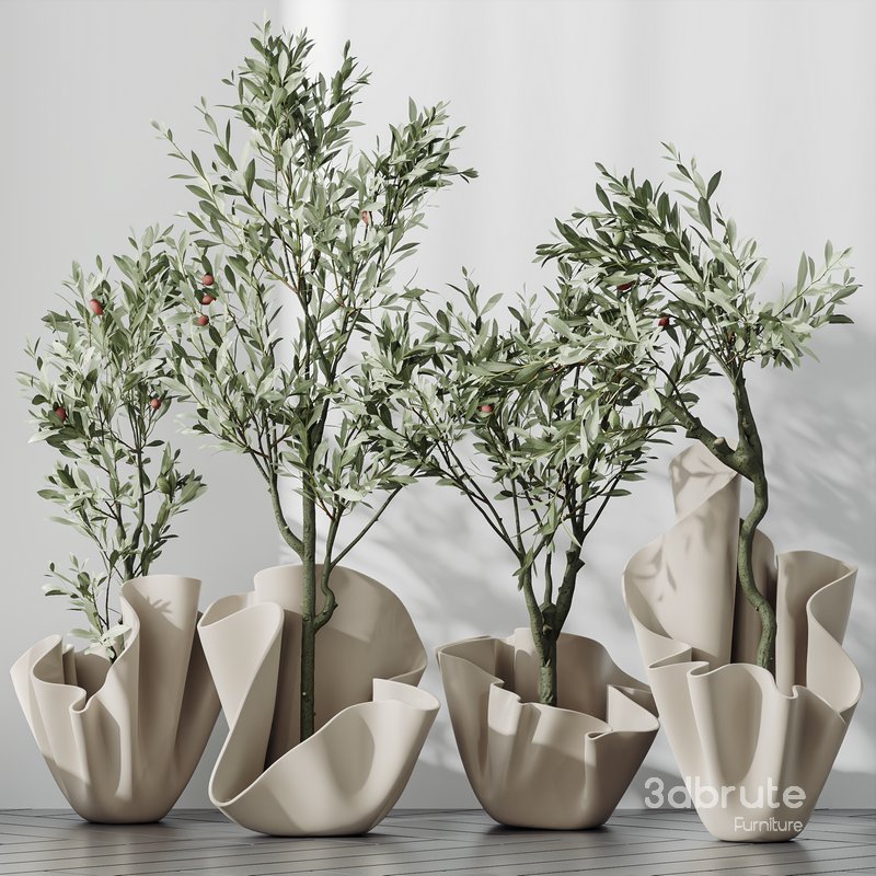 Plants Mission Olive Tree Indoor Vase Set002 Image 1