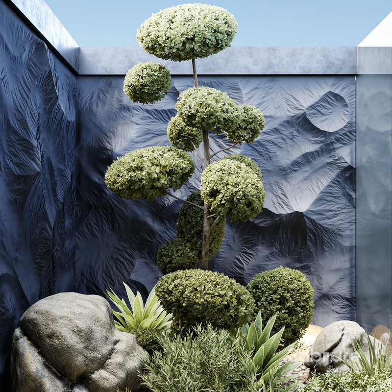 HQ Plants Indoor Set Box Glass Image 2