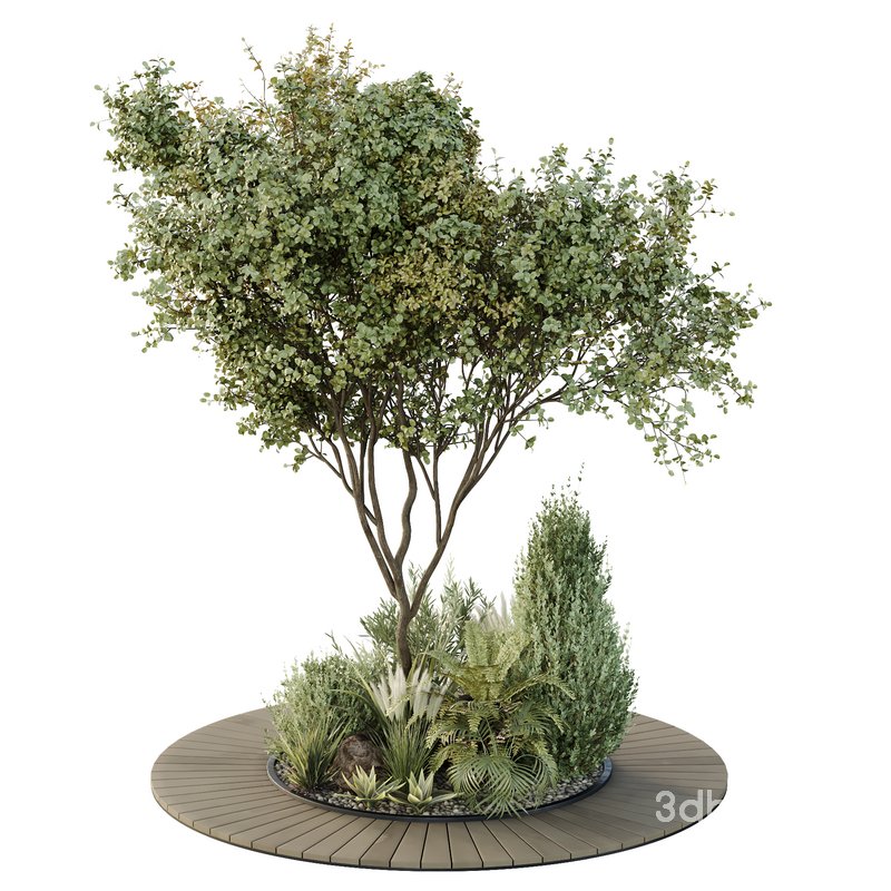 HQ Tree and bush garden box outdoor VOL 16 Image 3