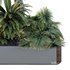 HQ Tree and bush garden box outdoor VOL 12 - Thumbnail 4