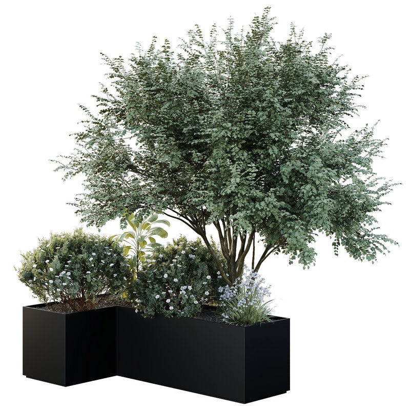 HQ Tree and bush garden box outdoor VOL 13 Image 2
