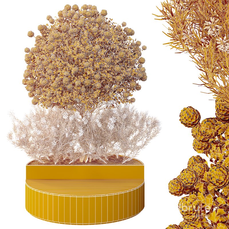 HQ Tree and bush garden box outdoor VOL 20 Image 3