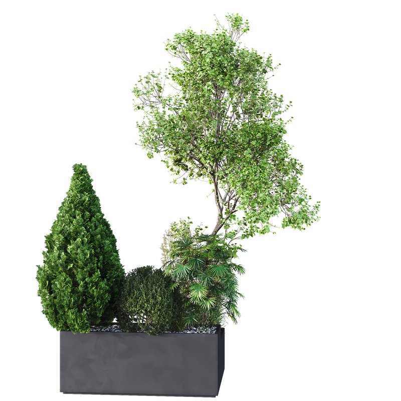 HQ Tree and bush garden box outdoor VOL 05 Image 2