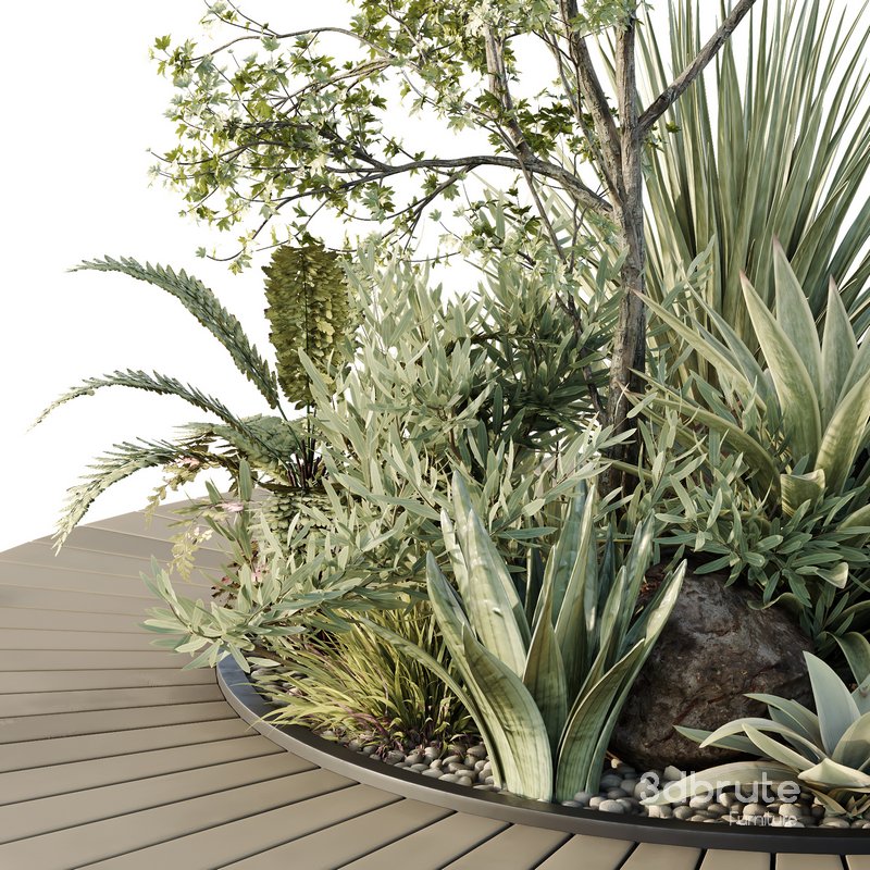 HQ Tree and bush garden box outdoor VOL 15 Image 3