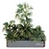 HQ Tree and bush garden box outdoor VOL 12 - Thumbnail 2