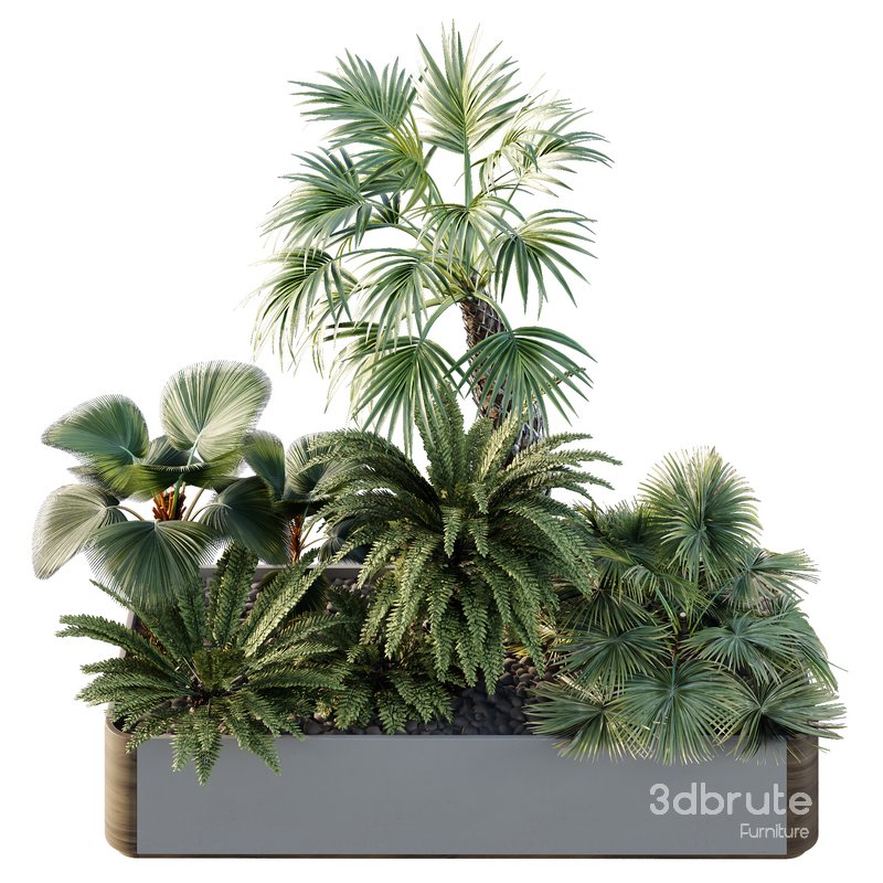 HQ Tree and bush garden box outdoor VOL 12 Image 2