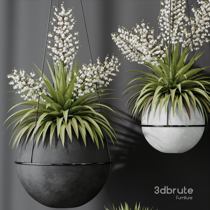HQ Plants Yucca Elephantipes Rupicola Vase Set01 Image 2