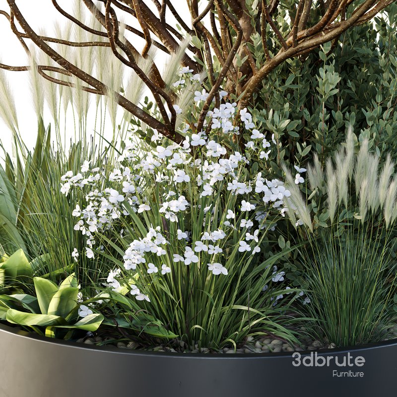 HQ Tree and bush garden box outdoor VOL 21 Image 4