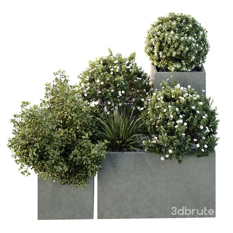 HQ Tree and bush garden box outdoor VOL 10 Image 3