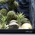 HQ Plants Indoor Set Box Glass - Thumbnail 3
