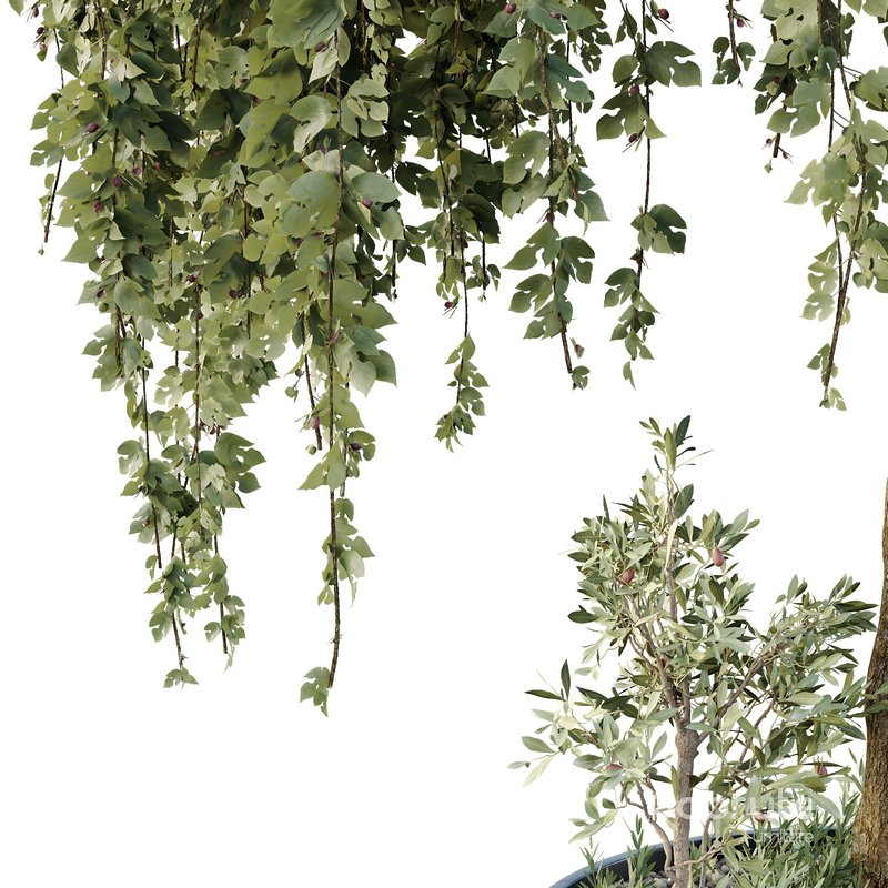 HQ Urban environment set of green plant benches 05 Image 3