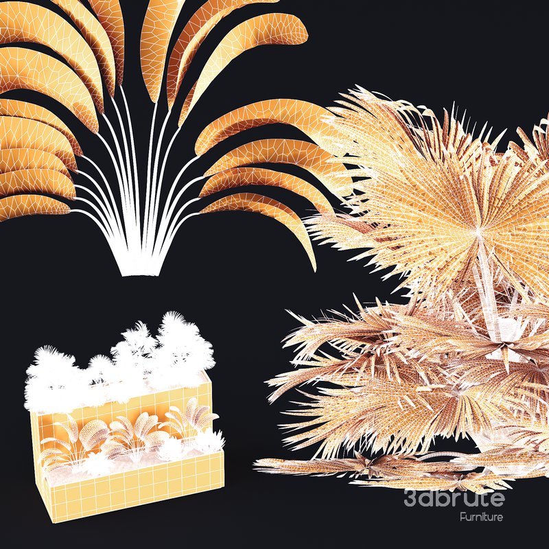 HQ Tree and bush garden box outdoor VOL 11 Image 4