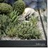 HQ Plants Indoor Set Box Glass - Thumbnail 5