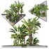 HQ HOTEL Outdoor Plants Set - Thumbnail 4