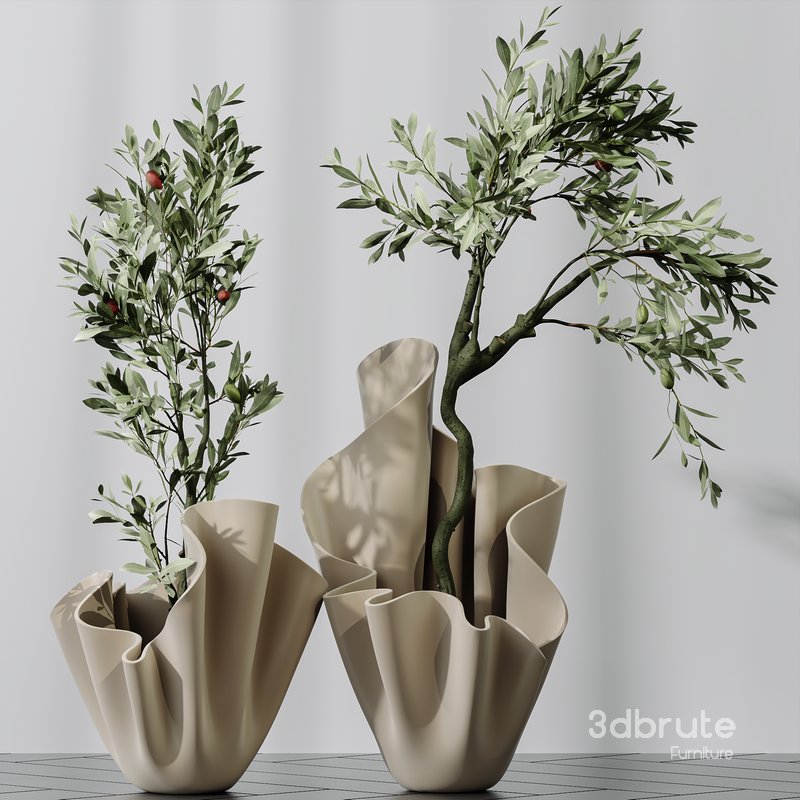 Plants Mission Olive Tree Indoor Vase Set002 Image 3