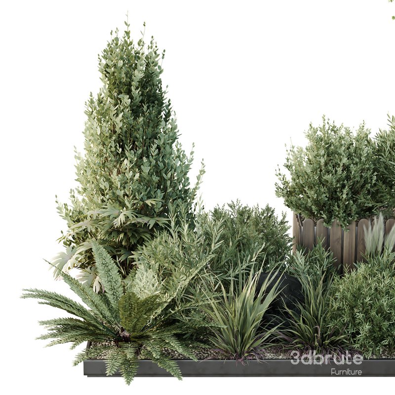 HQ Tree and bush garden box outdoor VOL 17 Image 4
