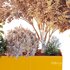 HQ Tree and bush garden box outdoor VOL 13 - Thumbnail 4
