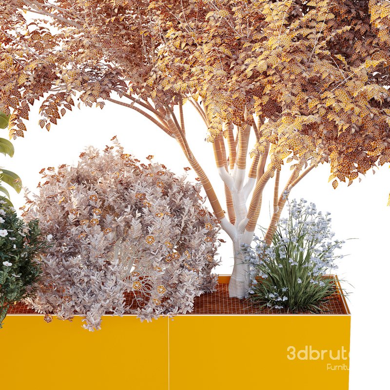 HQ Tree and bush garden box outdoor VOL 13 Image 4