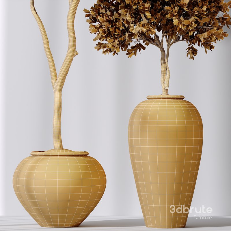 Plants Mission Olive Tree Indoor Vase Set006 Image 4