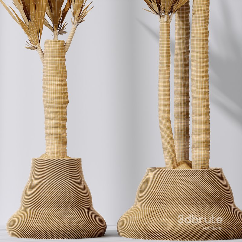 Plants Yucca Elephantipes Gigantea Vase Set02 Image 4